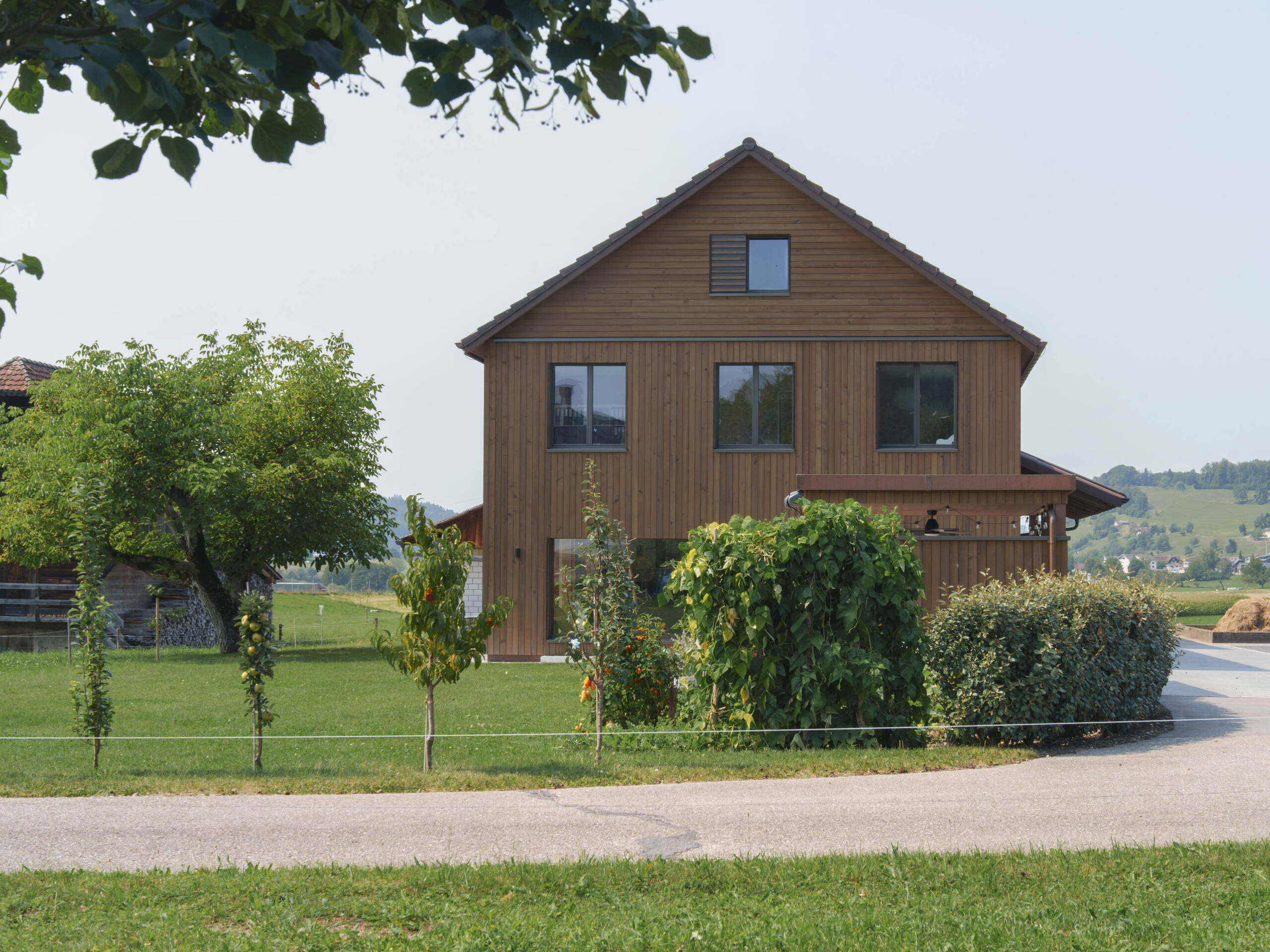250819_efh_kaufmann_aussensommer_5.jpg