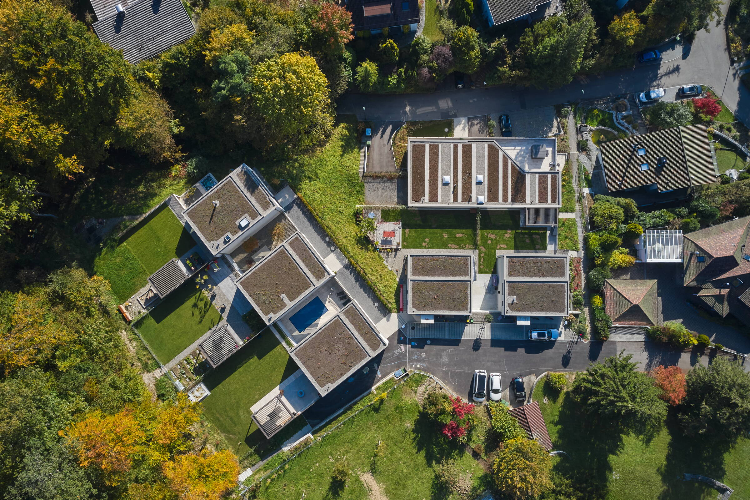 dji_0311.jpg