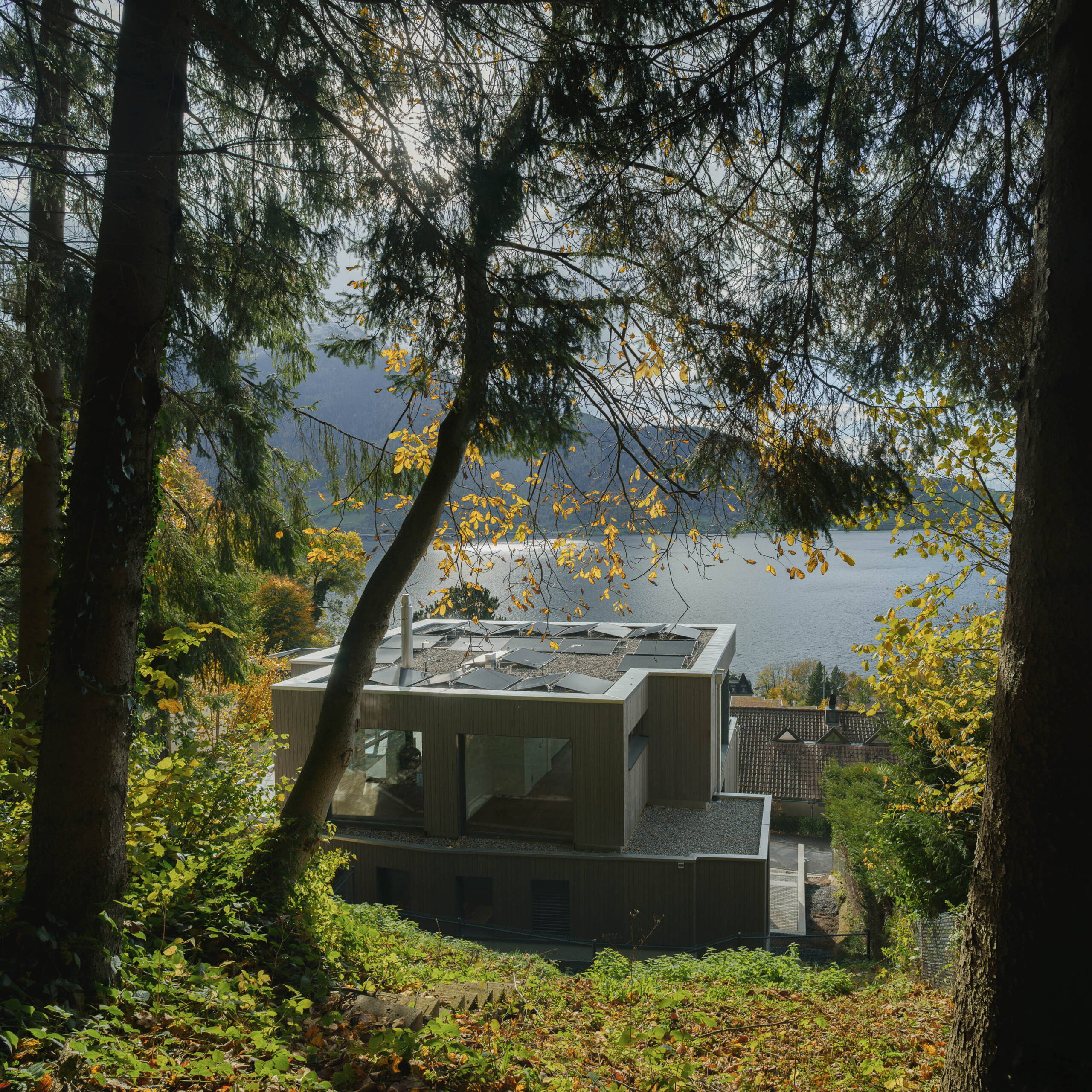 251106_3fh_walchwil_kunzwaerk_13.jpg