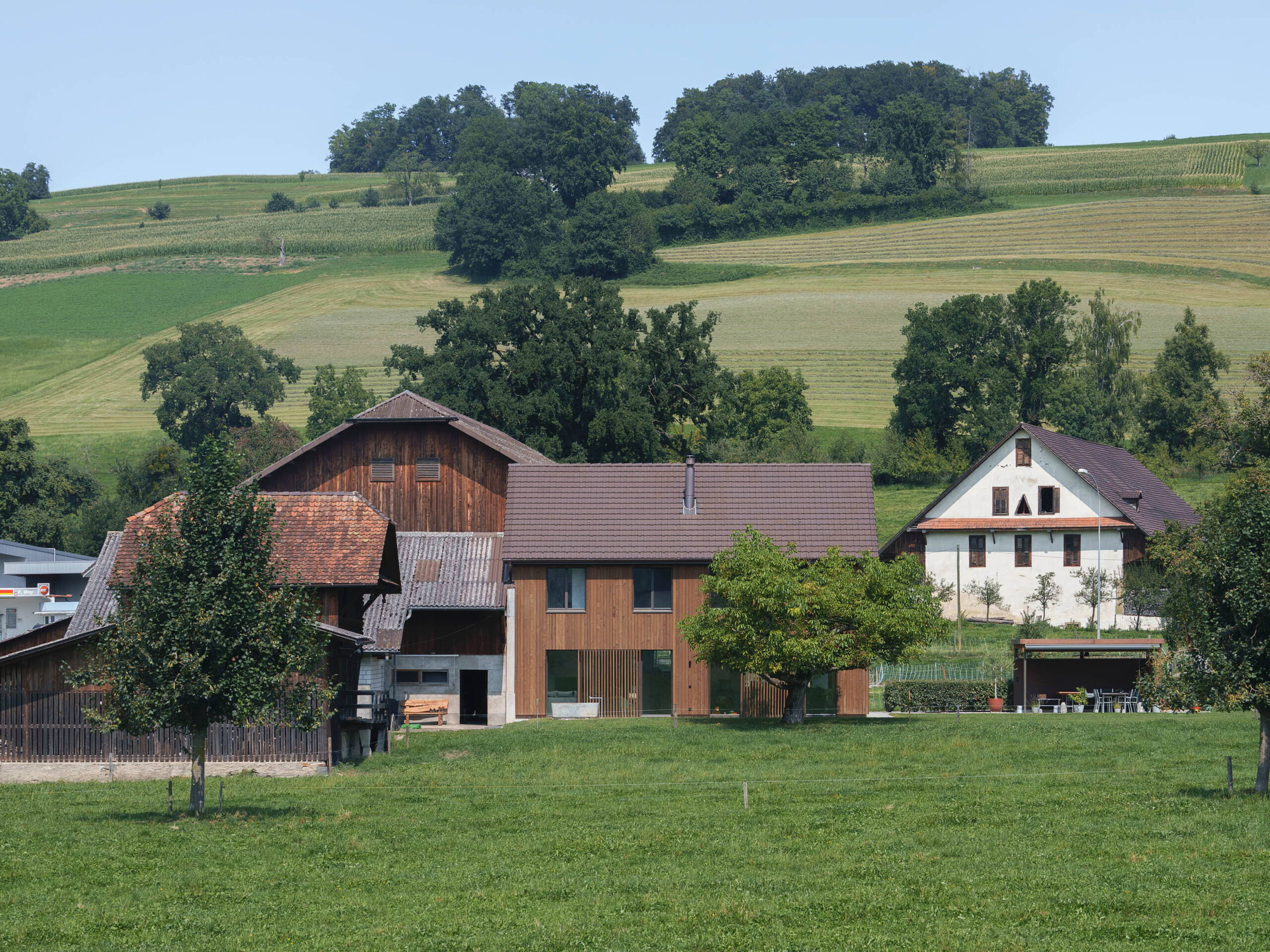 250819_efh_kaufmann_aussensommer_2.jpg